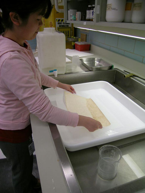 A conservator slide a print into a tray.