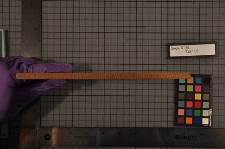 Edge-on view of control wooden board sample. 