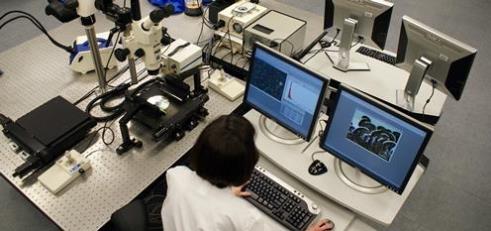 Image of microscopic analysis of defects in a naturally aged CD