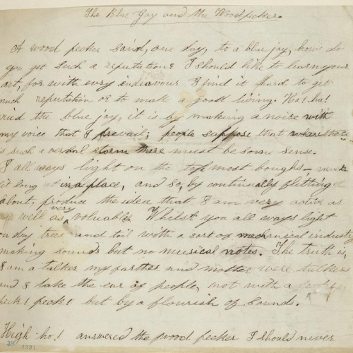 Handritten English transcript of an Ojibwe oral legend, 'The Blue Jay and the Woodpecker'.
